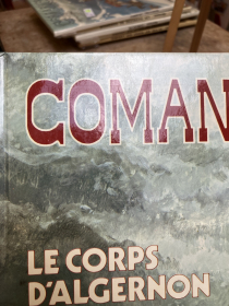 HERMANN - COMANCHE T10 - BE - EO 1983
