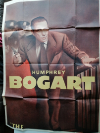 THE ENFORCER - DERNIER TEMOIN