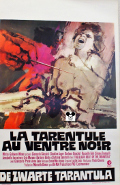BLACK BELLY OF THE TARANTULA / TARENTULE AU VENTRE NOIR