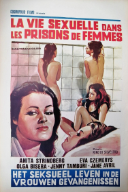 VIE SEXUELLE DANS LES PRISONS DE FEMMES
