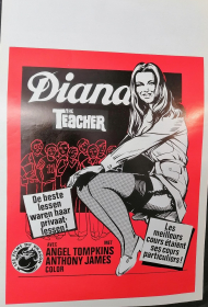 DIANA THE TEACHERS / DIANA THE TEACHERS