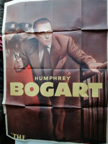 THE ENFORCER - DERNIER TEMOIN