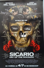 SICARIO DAY OF THE SOLDIER / SICARIO LA GUERRE DES CARTELS