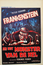 FRANKENSTEIN AND THE MONSTER FROM HELL - FRANKENSTEIN ET LE MONSTRE DE L'ENFER / FRANKENSTEIN : MONSTER VAN DE HEL