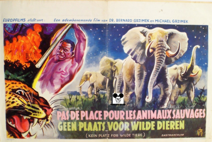KEIN PLATZ FUR WILDE TIERE - BAMBUTI / PAS DE PLACE POUR LES ANIMAUX SAUVAGES