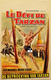 TARZAN'S THREE CHALENGES / DEFI DE TARZAN